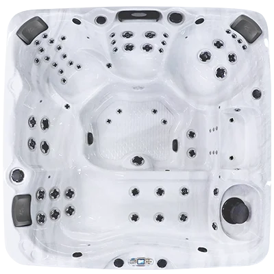 Avalon EC-867L hot tubs for sale in Elk Grove